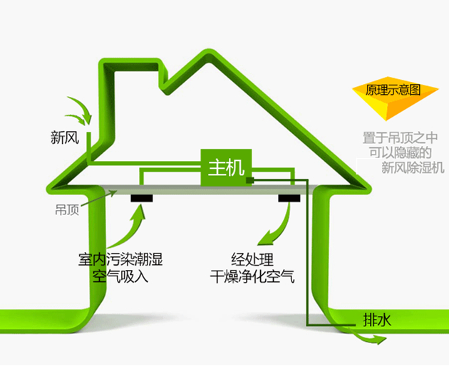 吊頂式新風除濕機