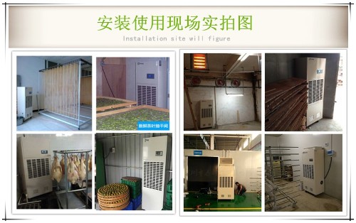 佛香烘干除濕機(jī)