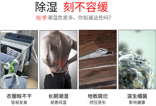 中央除濕機