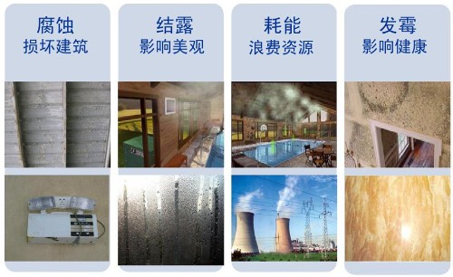 泳池熱泵除濕機