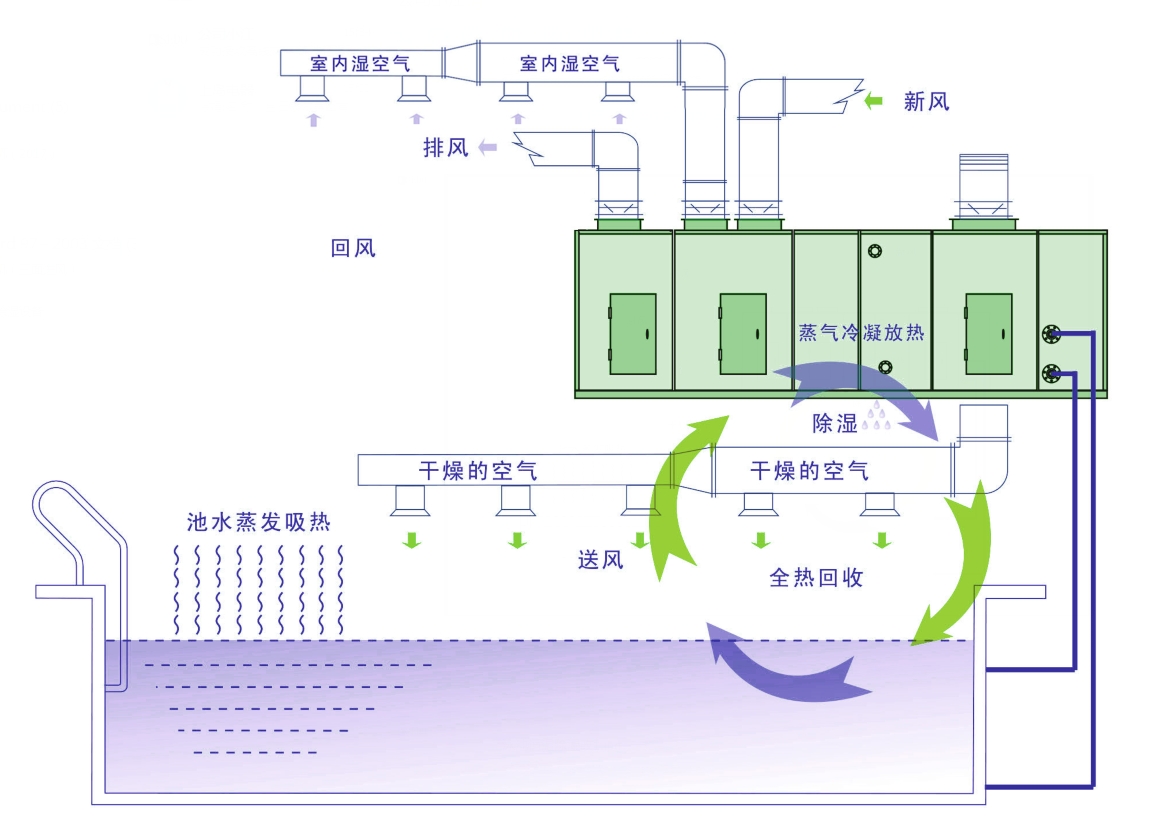 泳池熱泵除濕機