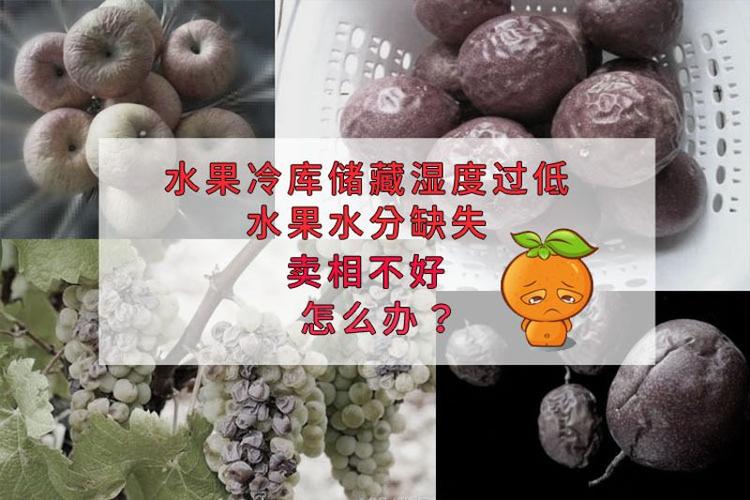 果蔬氣調(diào)庫增濕器