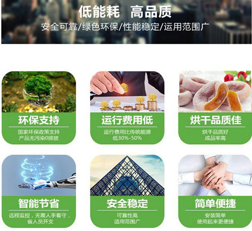 蜜棗烘干除濕機