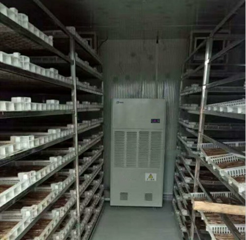 蠶繭脫水除濕機