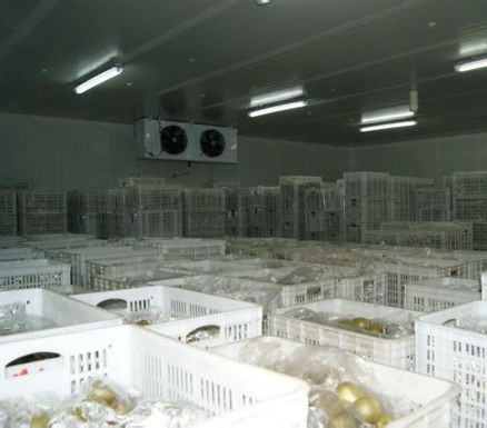 獼猴桃氣調庫加濕器.jpg