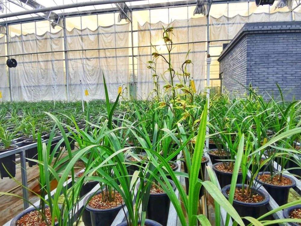 1642207241231099229.jpg