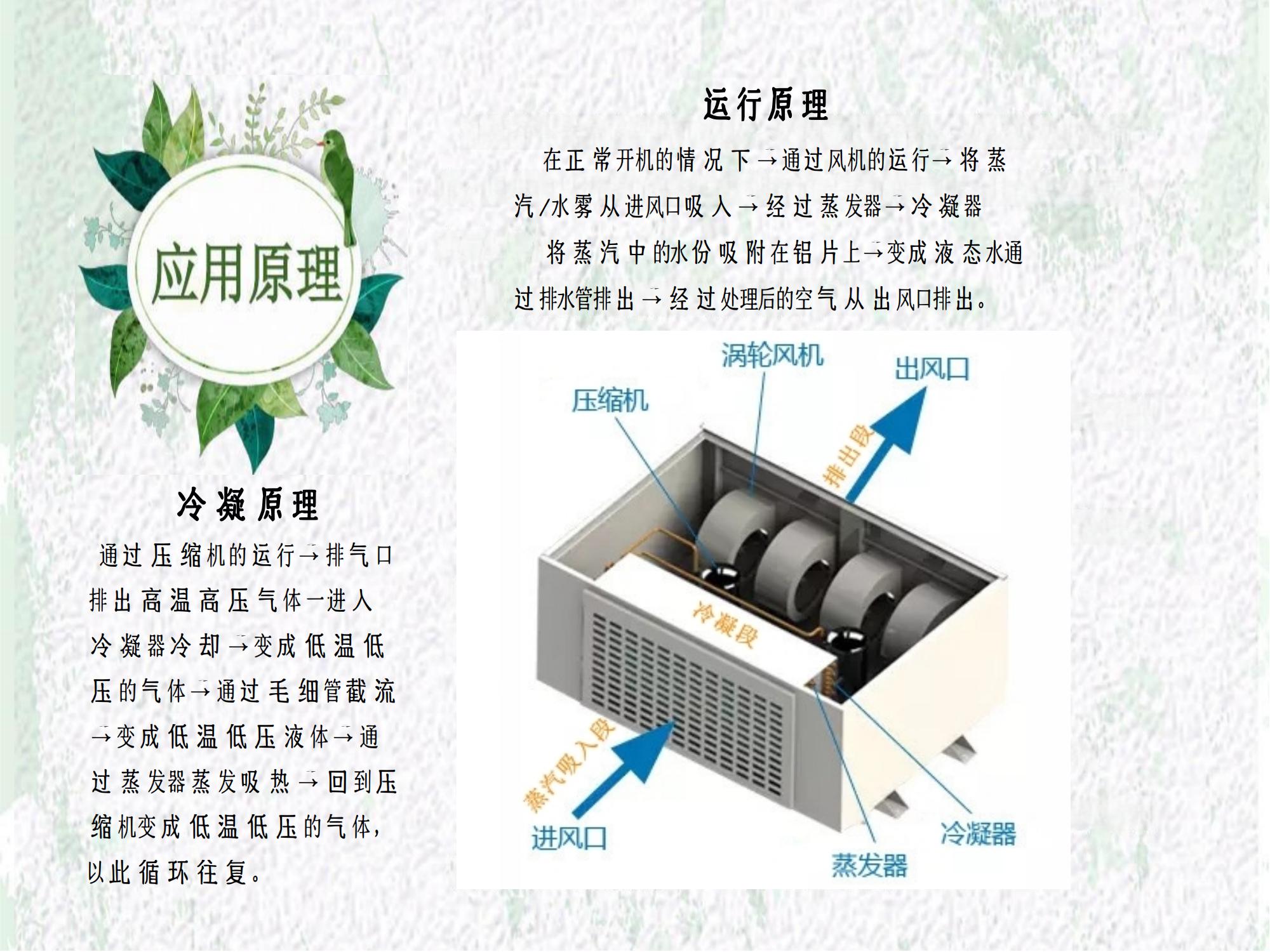 蒸煮車間蒸汽收集裝置