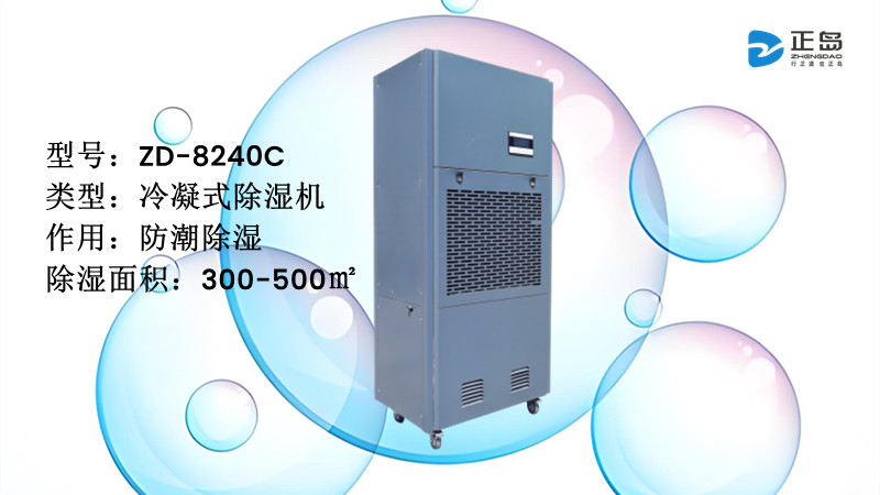 電池片無(wú)塵室除濕機(jī)