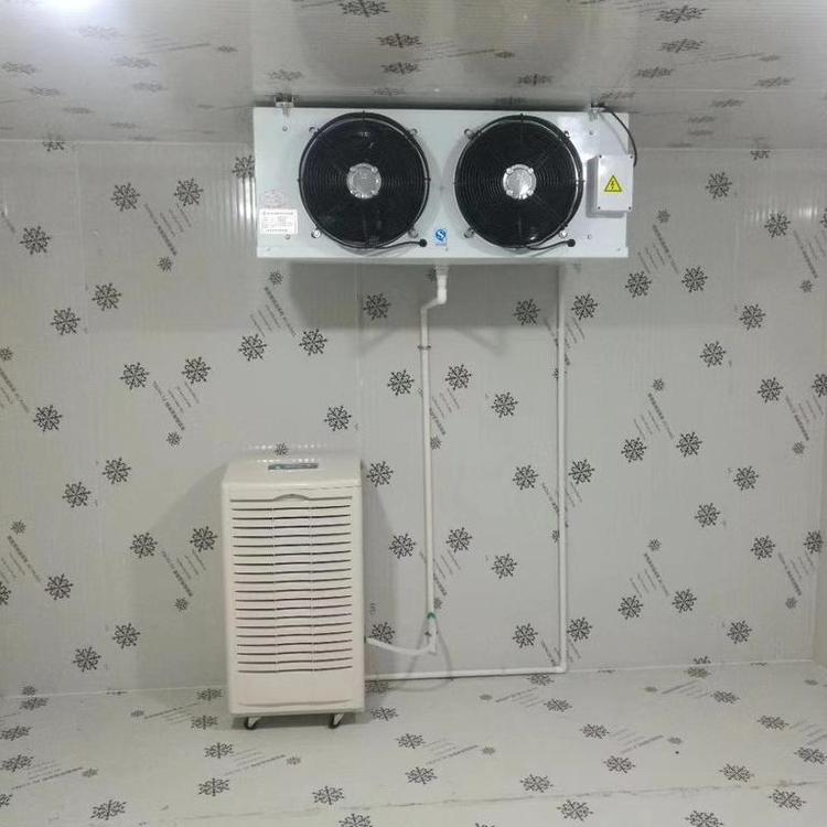 小型冷庫(kù)除濕機(jī)