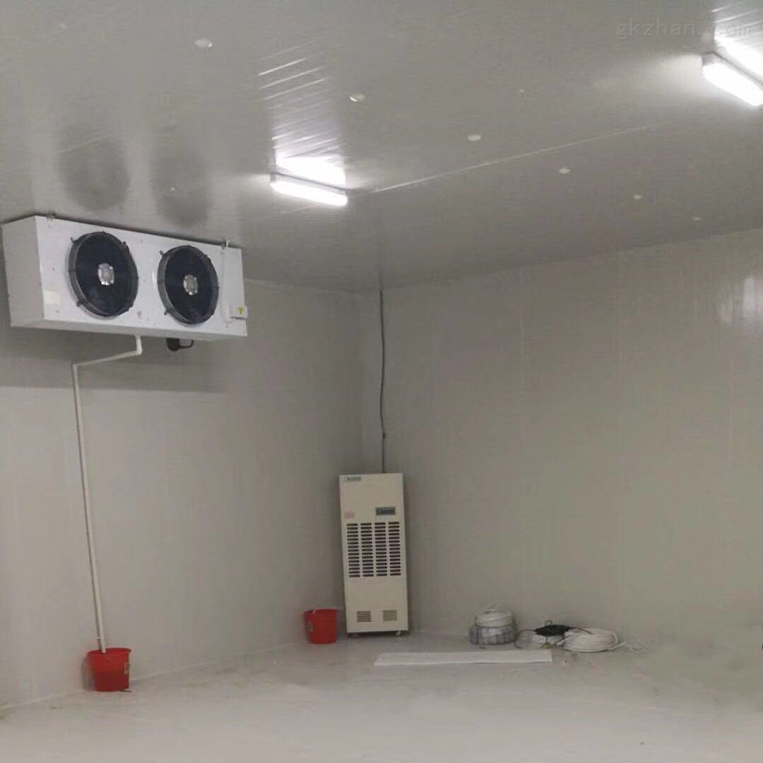 低溫冷庫(kù)除濕機(jī)