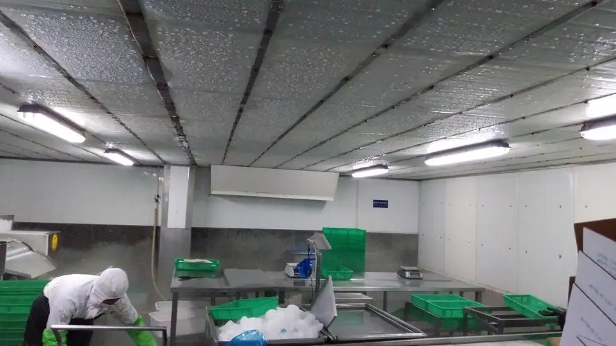 食品廠天花板除露機