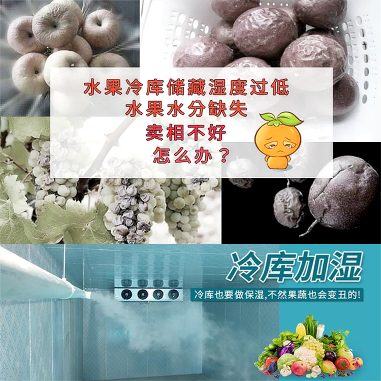 果蔬冷庫保鮮加濕器